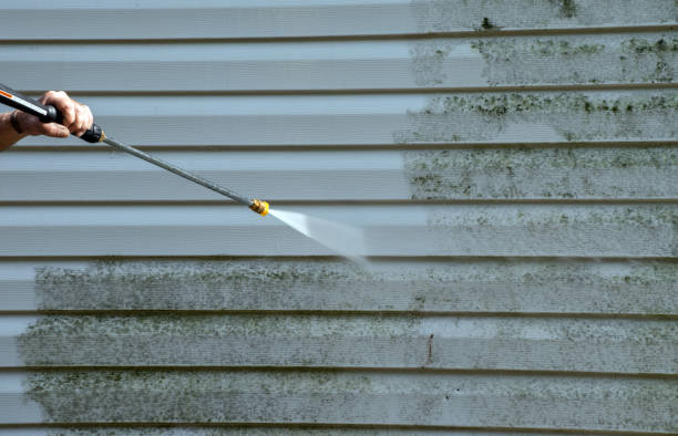 Professional Pressure Washing Services in Dassel, MN