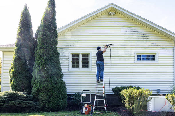 Best House Exterior Washing  in Dassel, MN