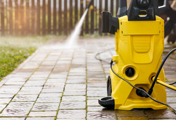 Best Sidewalk and Walkway Cleaning  in Dassel, MN