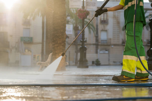 Pre-Holiday Cleaning in Dassel, MN